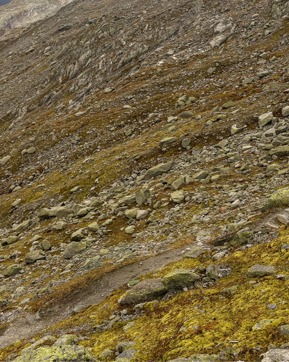 Steiniger Berghang